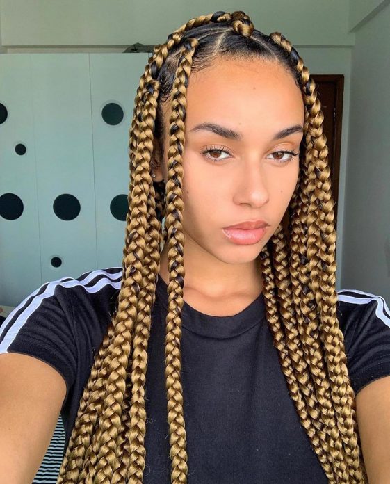 Braids Hairstyles 2021 For Ladies: Lovely And Beautiful For Ladies ...